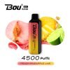 BOU Soft Peach Pineapple Lime - Image 2