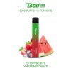 Strawberry Watermelon Ice