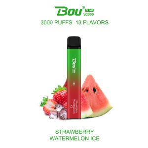 Strawberry Watermelon Ice