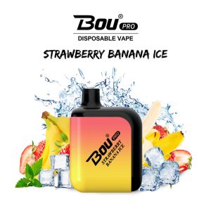 Strawberry Banana Ice