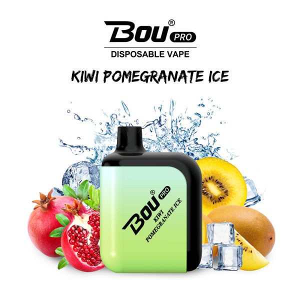 Kiwi Pomegranate Ice